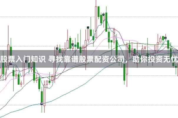 股票入門知識 尋找靠譜股票配資公司，助你投資無憂