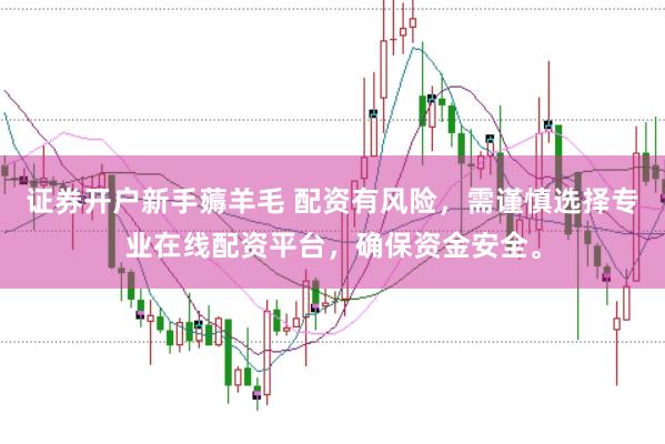 證券開戶新手薅羊毛 配資有風險，需謹慎選擇專業在線配資平臺，確保資金安全。